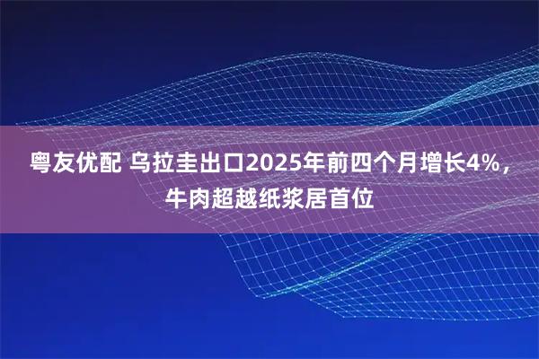 粤友优配 乌拉圭出口2025年前四个月增长4%，牛肉超越纸浆居首位